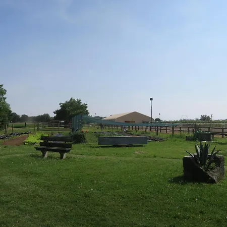 Domus Magna-3 By Interhome * Povoletto