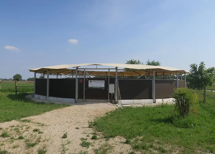 Domus Magna-3 By Interhome Nyaraló *